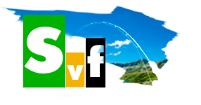 Логотип svf